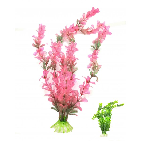 ΔΙΑΚΟΣΜΗΤΙΚΟ ΦΥΤΟ ΕΝΥΔΡΕΙΟΥ